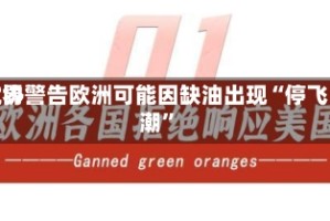 世界航协警告欧洲可能因缺油出现“停飞潮”