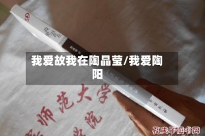 我爱故我在陶晶莹/我爱陶阳