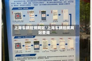 上海车辆拍牌网站/上海车辆拍牌网站查询
