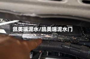 凯美瑞泥水/凯美瑞泥水门