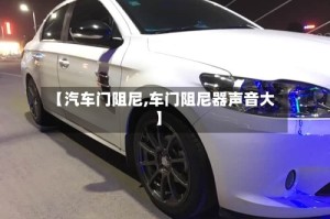 【汽车门阻尼,车门阻尼器声音大】