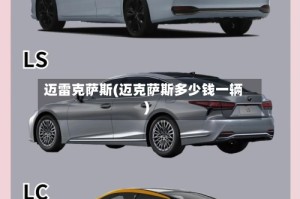 迈雷克萨斯(迈克萨斯多少钱一辆)