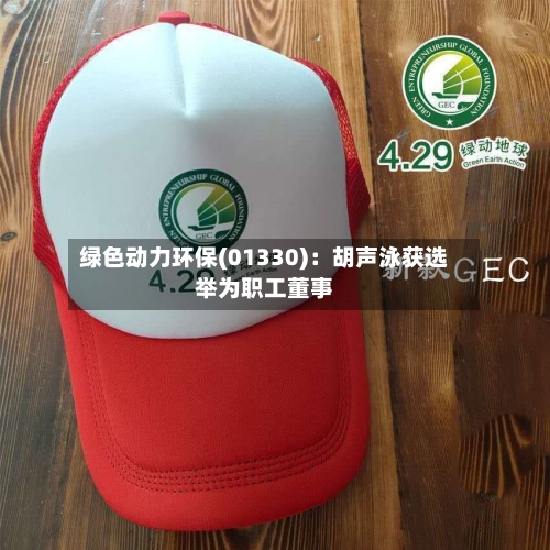 绿色动力环保(01330)：胡声泳获选举为职工董事-第1张图片