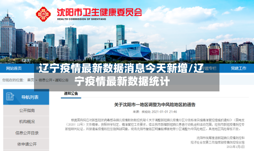 辽宁疫情最新数据消息今天新增/辽宁疫情最新数据统计-第1张图片