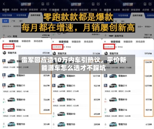 雷军回应造10万内车引热议，平价新能源车怎么选才不踩坑-第1张图片
