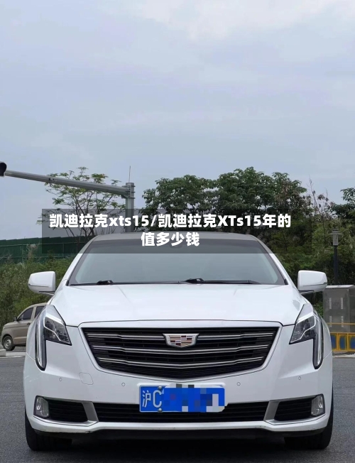 凯迪拉克xts15/凯迪拉克XTs15年的值多少钱-第1张图片
