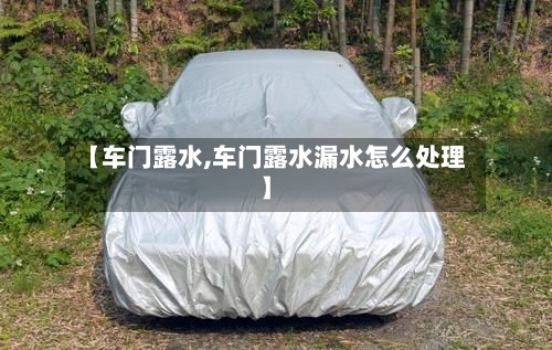 【车门露水,车门露水漏水怎么处理】-第1张图片