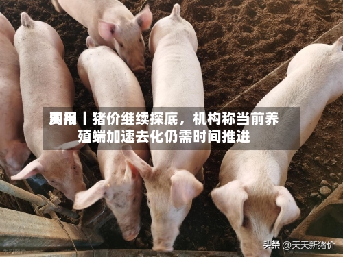 费用周报｜猪价继续探底，机构称当前养殖端加速去化仍需时间推进-第1张图片