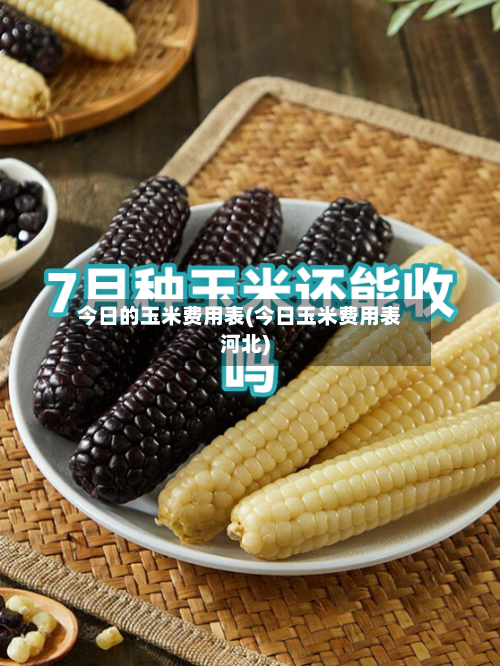 今日的玉米费用表(今日玉米费用表河北)-第1张图片