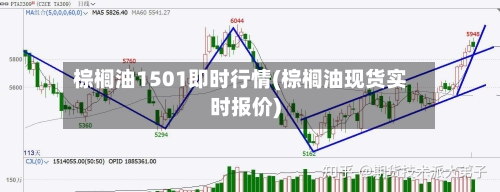 棕榈油1501即时行情(棕榈油现货实时报价)-第3张图片