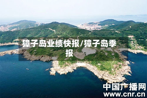 獐子岛业绩快报/獐子岛季报-第2张图片