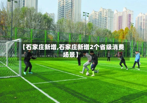 【石家庄新增,石家庄新增2个省级消费场景】-第1张图片