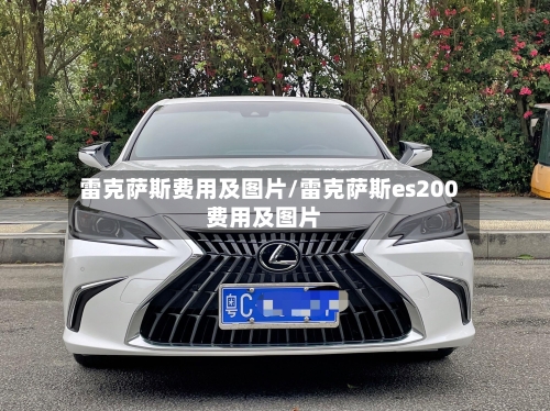 雷克萨斯费用及图片/雷克萨斯es200费用及图片-第1张图片