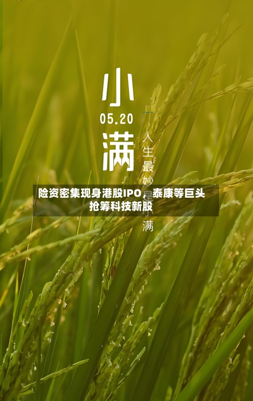 险资密集现身港股IPO，泰康等巨头抢筹科技新股-第1张图片