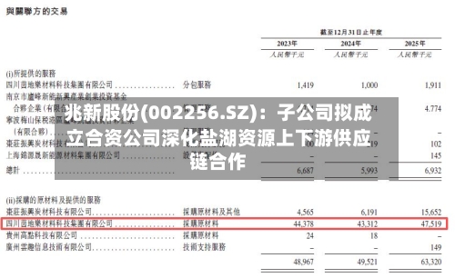 兆新股份(002256.SZ)：子公司拟成立合资公司深化盐湖资源上下游供应链合作-第2张图片