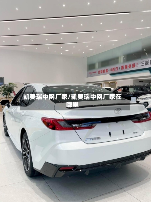 凯美瑞中网厂家/凯美瑞中网厂家在哪里-第1张图片