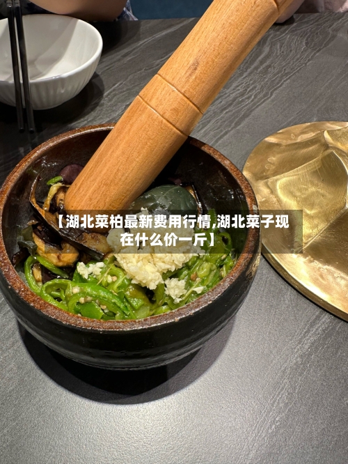 【湖北菜柏最新费用行情,湖北菜子现在什么价一斤】-第2张图片