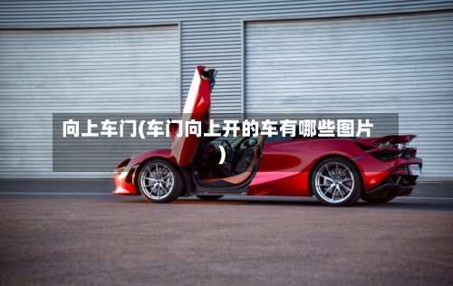 向上车门(车门向上开的车有哪些图片)-第1张图片
