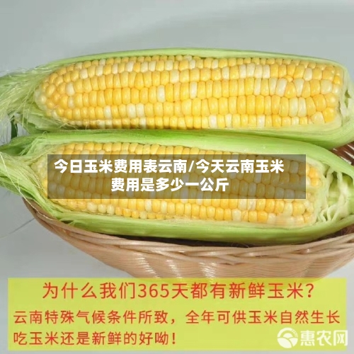 今日玉米费用表云南/今天云南玉米费用是多少一公斤-第3张图片