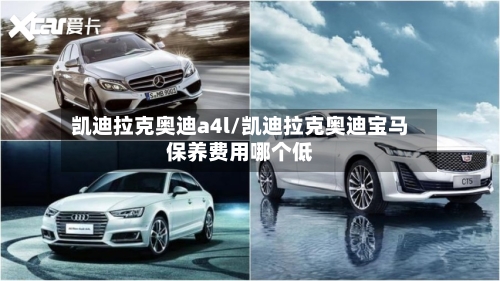 凯迪拉克奥迪a4l/凯迪拉克奥迪宝马保养费用哪个低-第1张图片