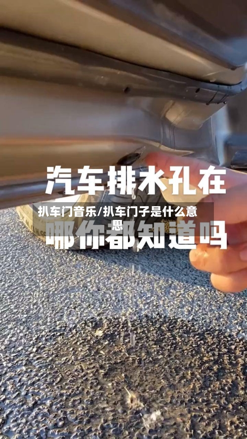 扒车门音乐/扒车门子是什么意思-第1张图片