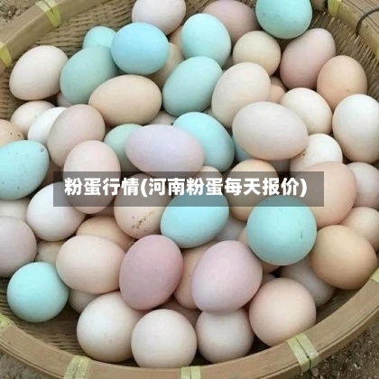 粉蛋行情(河南粉蛋每天报价)-第2张图片