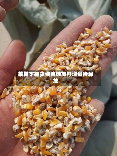 菜粕：现货费用震荡下行，供应端加籽增量待释放-第2张图片