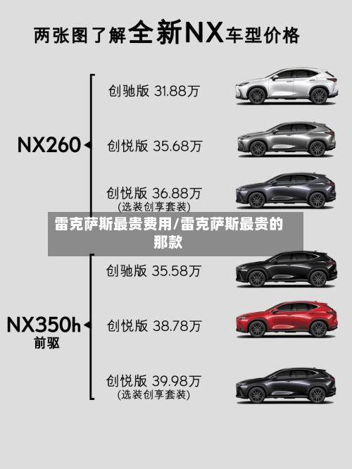 雷克萨斯最贵费用/雷克萨斯最贵的那款-第2张图片