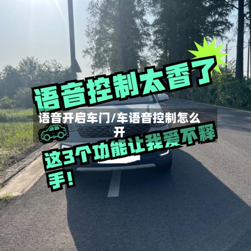 语音开启车门/车语音控制怎么开-第1张图片