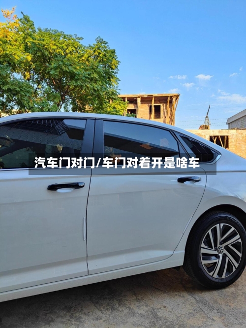 汽车门对门/车门对着开是啥车-第1张图片