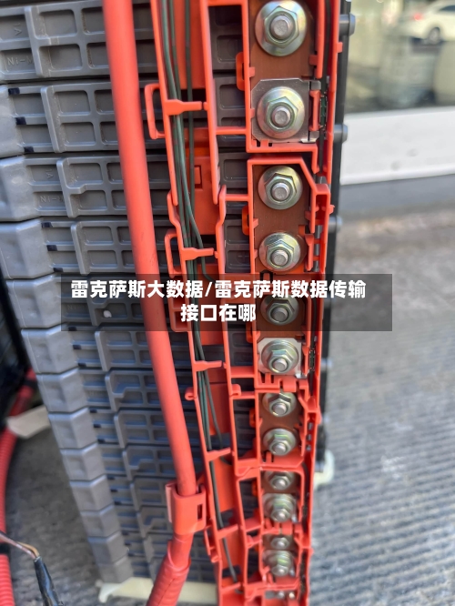 雷克萨斯大数据/雷克萨斯数据传输接口在哪-第3张图片