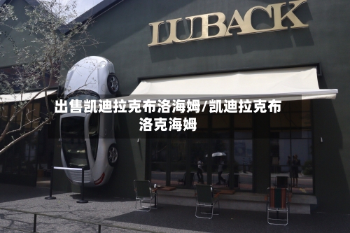 出售凯迪拉克布洛海姆/凯迪拉克布洛克海姆-第2张图片