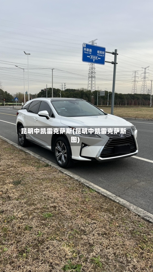 昆明中凯雷克萨斯(昆明中凯雷克萨斯图)-第3张图片