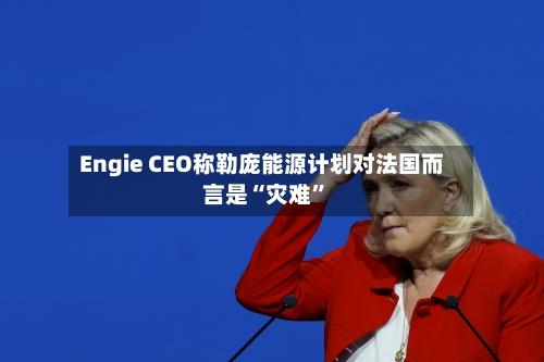 Engie CEO称勒庞能源计划对法国而言是“灾难”-第1张图片