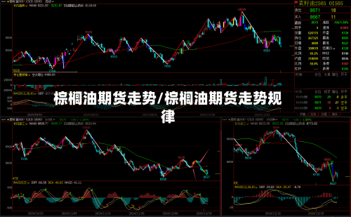 棕榈油期货走势/棕榈油期货走势规律-第3张图片