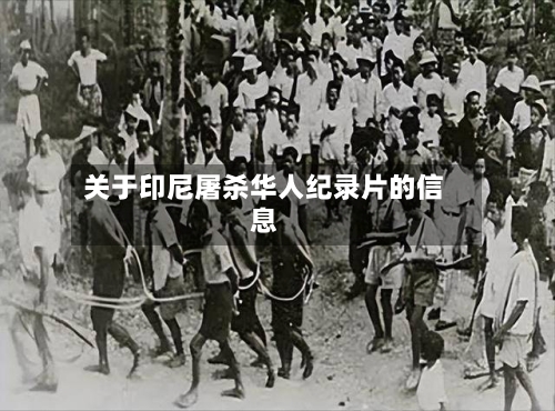 关于印尼屠杀华人纪录片的信息-第1张图片