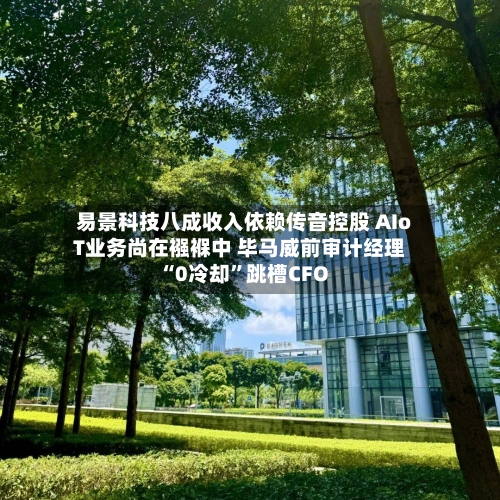 易景科技八成收入依赖传音控股 AIoT业务尚在襁褓中 毕马威前审计经理“0冷却”跳槽CFO-第2张图片