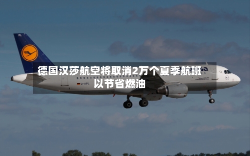德国汉莎航空将取消2万个夏季航班以节省燃油-第3张图片