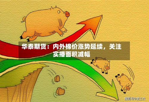 华泰期货：内外棉价涨势延续，关注实播面积减幅-第2张图片