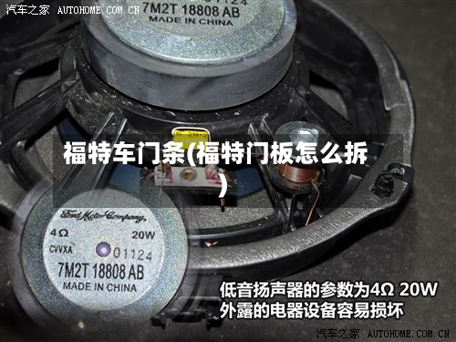 福特车门条(福特门板怎么拆)-第2张图片