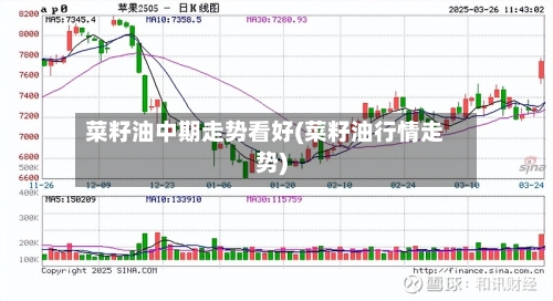 菜籽油中期走势看好(菜籽油行情走势)-第2张图片