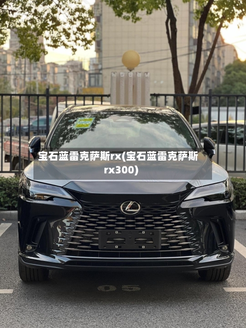 宝石蓝雷克萨斯rx(宝石蓝雷克萨斯rx300)-第2张图片
