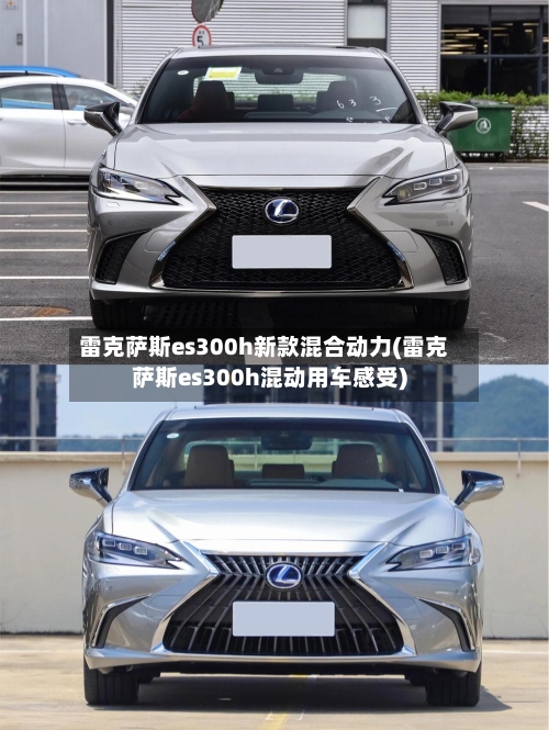 雷克萨斯es300h新款混合动力(雷克萨斯es300h混动用车感受)-第1张图片