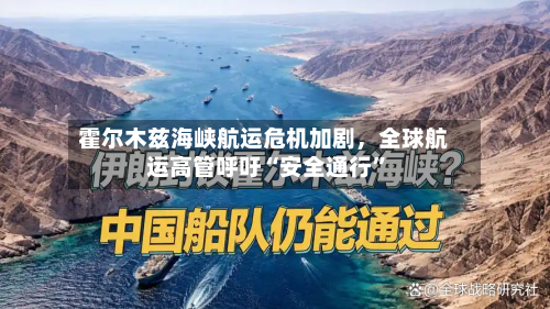 霍尔木兹海峡航运危机加剧，全球航运高管呼吁“安全通行	”-第3张图片