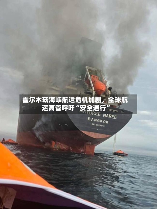 霍尔木兹海峡航运危机加剧，全球航运高管呼吁“安全通行”-第2张图片