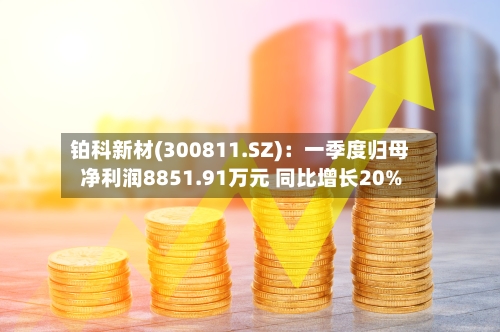 铂科新材(300811.SZ)：一季度归母净利润8851.91万元 同比增长20%-第1张图片