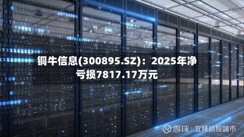 铜牛信息(300895.SZ)：2025年净亏损7817.17万元-第1张图片