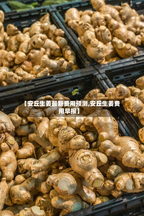 【安丘生姜最新费用预测,安丘生姜费用早报】-第1张图片