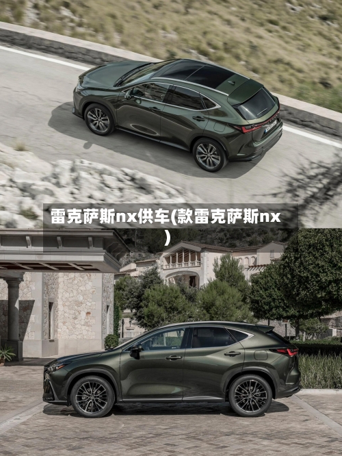 雷克萨斯nx供车(款雷克萨斯nx)-第3张图片