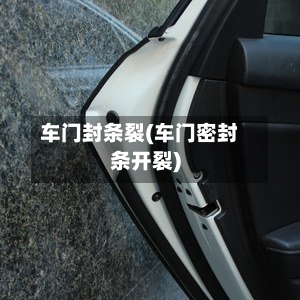车门封条裂(车门密封条开裂)-第2张图片
